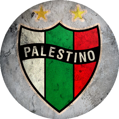 Club Deportivo Palestino